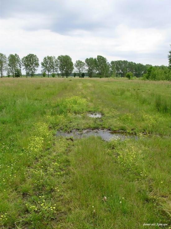 Звози з panoramio.com - Zvozy