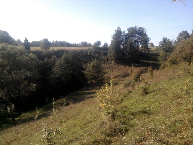 Карпи з panoramio.com - Карпы