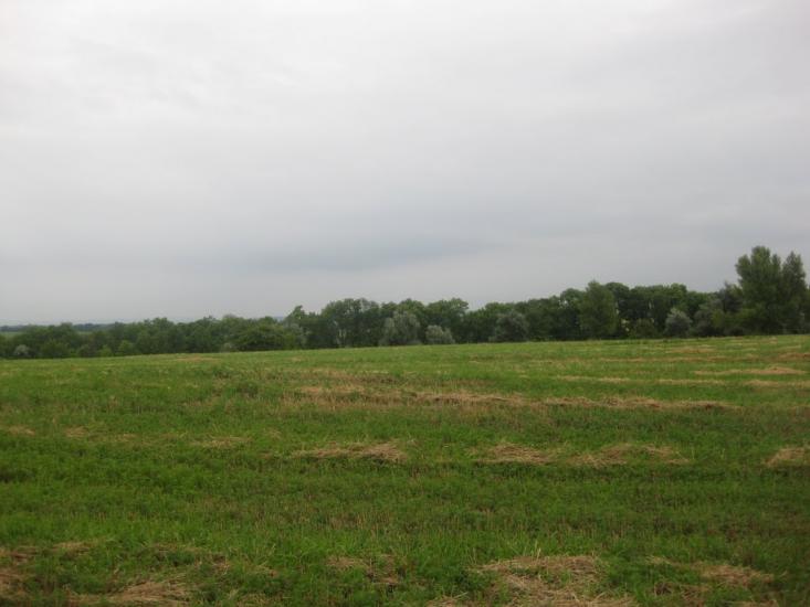 Садки з panoramio.com - Садки