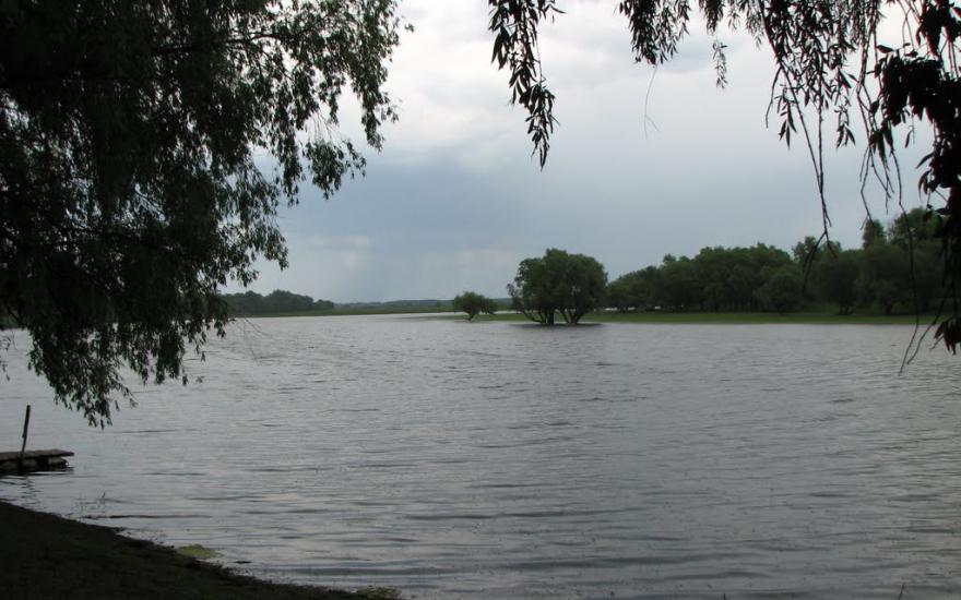 Брусилів з panoramio.com - Брусилов