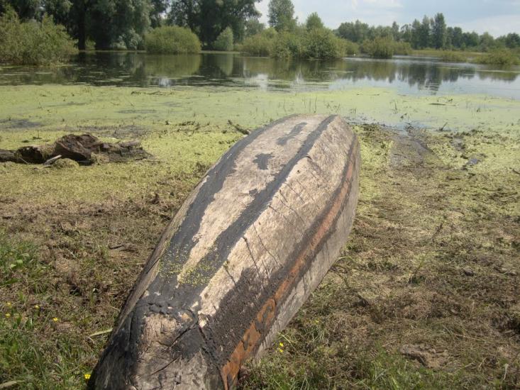 Жукин з panoramio.com - Zhukyn