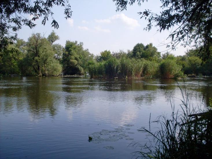 Четвертинівка з panoramio.com - Четвертиновка