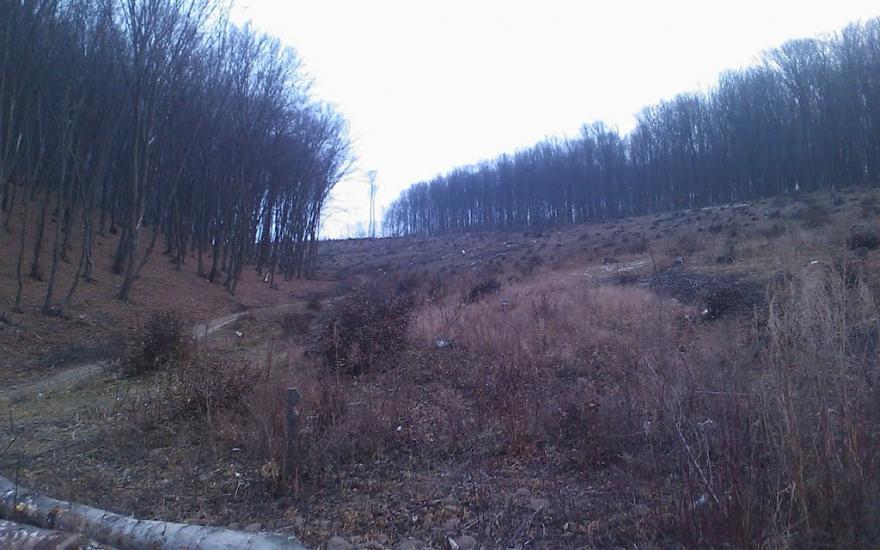 Монастириська з panoramio.com - Монастириська