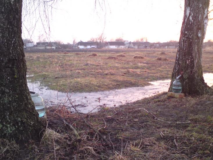 Великі Межирічі з panoramio.com - Великі Межирічі