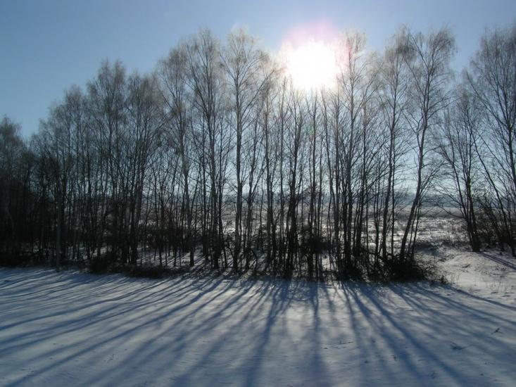 Задонецьке з panoramio.com - Zadonetske
