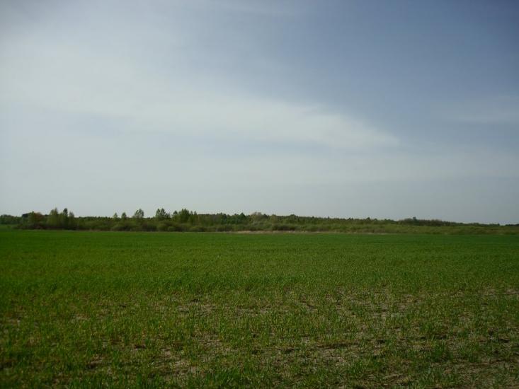 Вівчицьк з panoramio.com - Вівчицьк