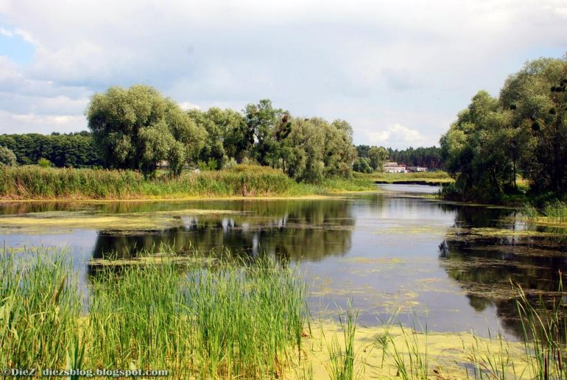 Задонецьке з panoramio.com - Zadonetske