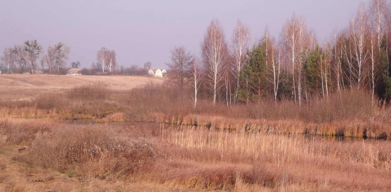 Федорівка - Федорівка