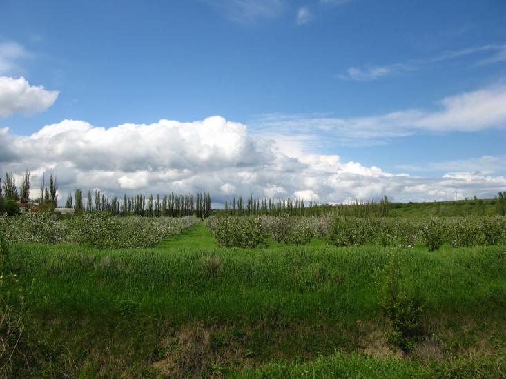 Білогірськ з panoramio.com - Белогорск