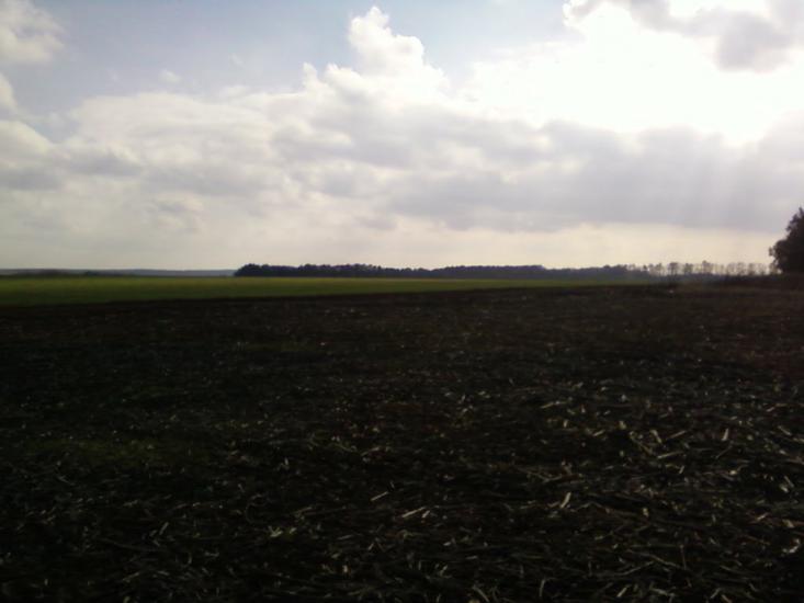 Довгеньке з panoramio.com - Довгеньке