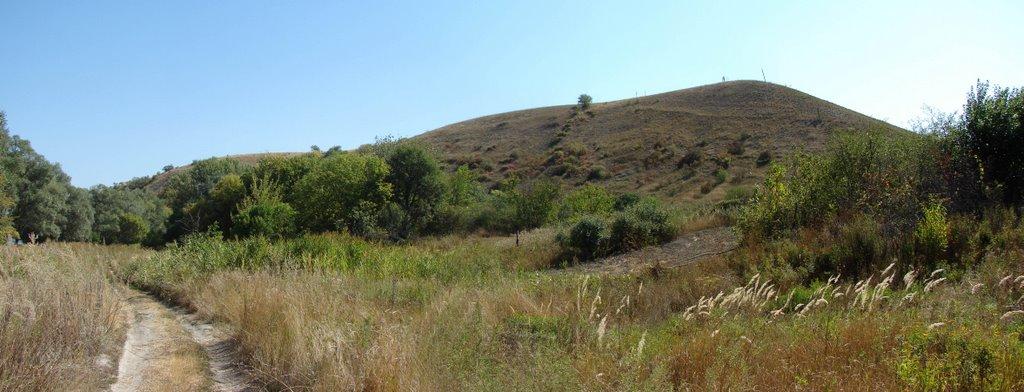 Берегове з panoramio.com - Береговое