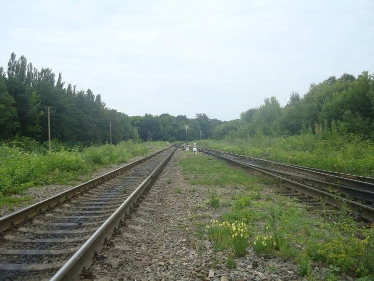 Гуменці з panoramio.com - Гуменцы