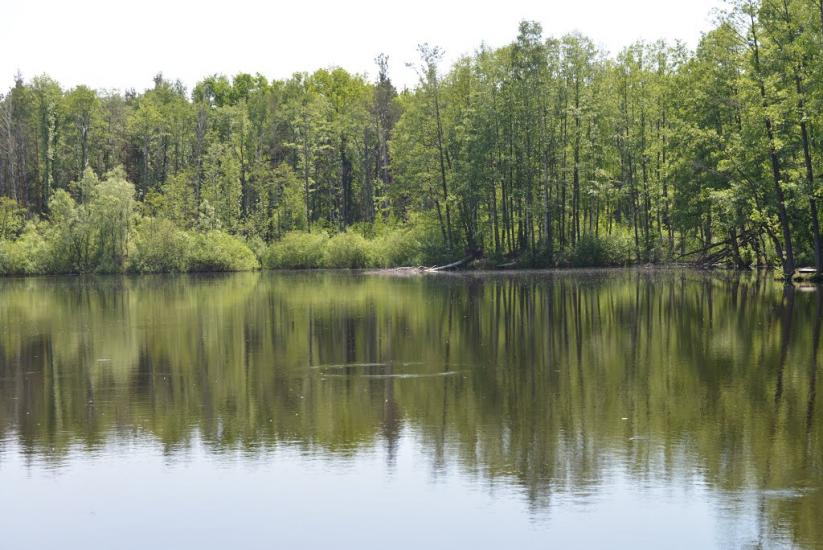 Корюківка з panoramio.com - Корюковка