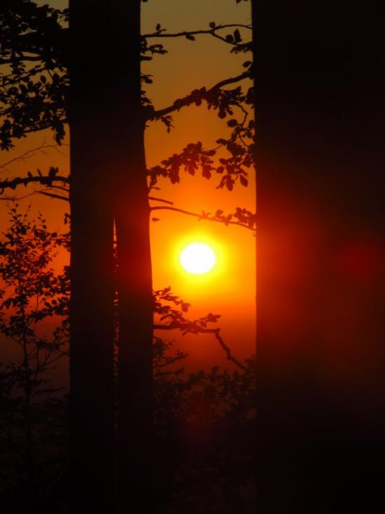 Міжгір'я з panoramio.com - Міжгір'я