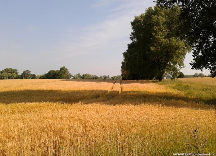 Переяслівка з panoramio.com - Переяслівка