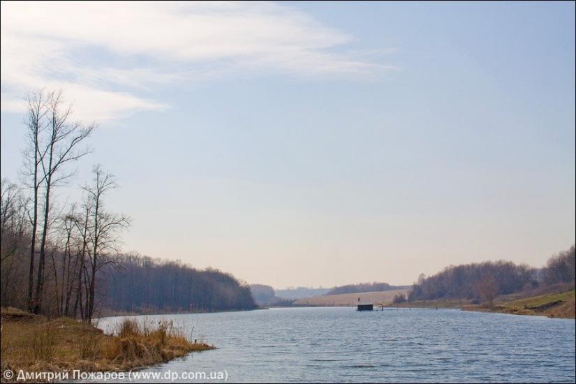 Польова з panoramio.com - Полевая
