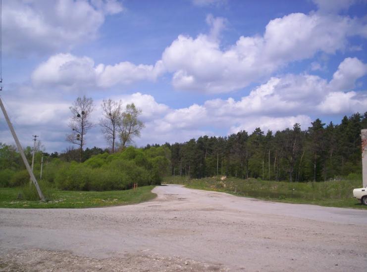 Кобзарівка з panoramio.com - Кобзарівка