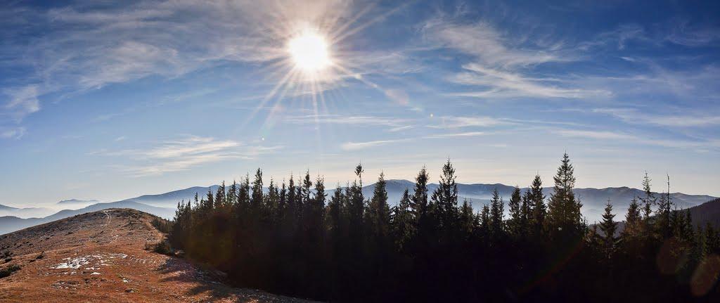 Чорна Тиса з panoramio.com - Черная Тиса