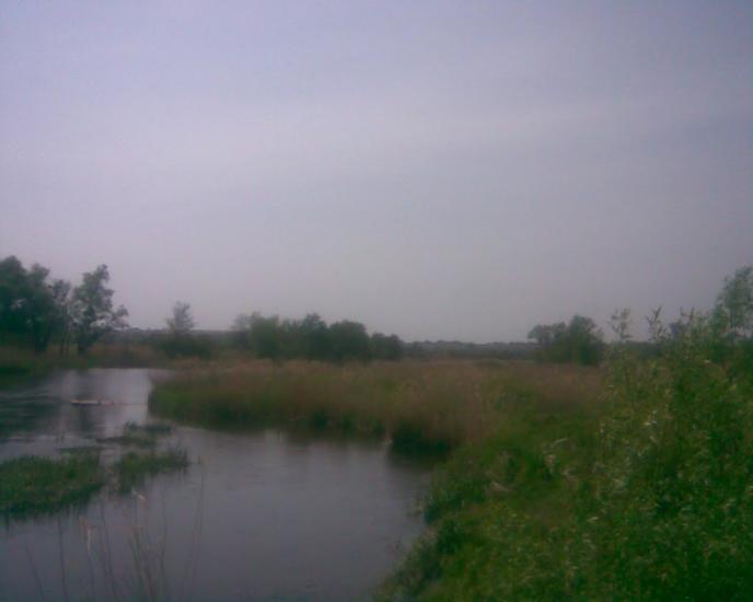 Синява з panoramio.com - Synyava