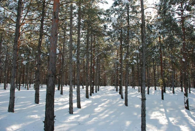 Баловне з panoramio.com - Баловное