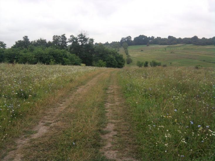 Глушківці з panoramio.com - Глушківці