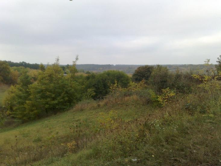 Ротмістрівка з panoramio.com - Ротмістрівка