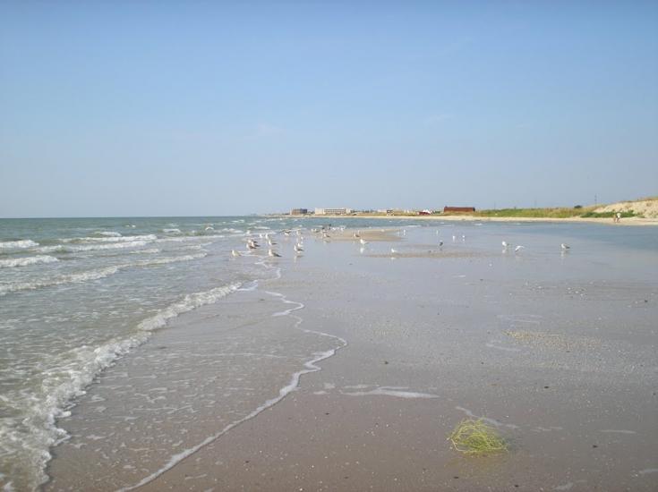 Степанівка Перша з panoramio.com - Степанівка Перша