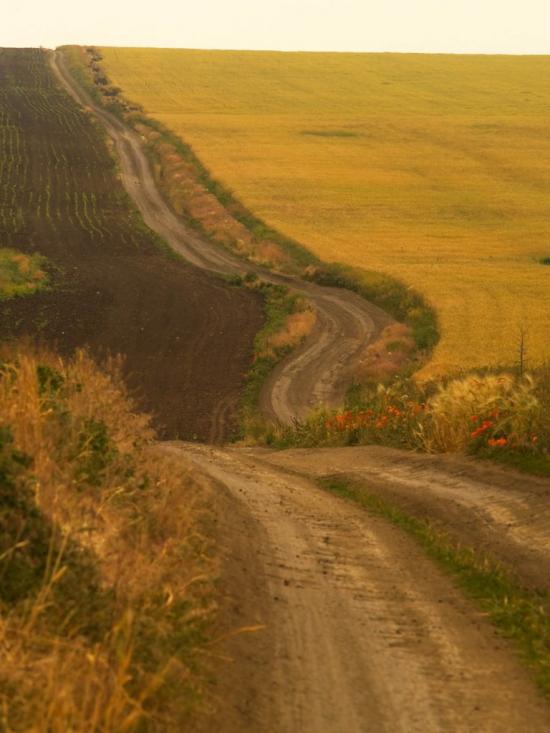 Переможне з panoramio.com - Переможное