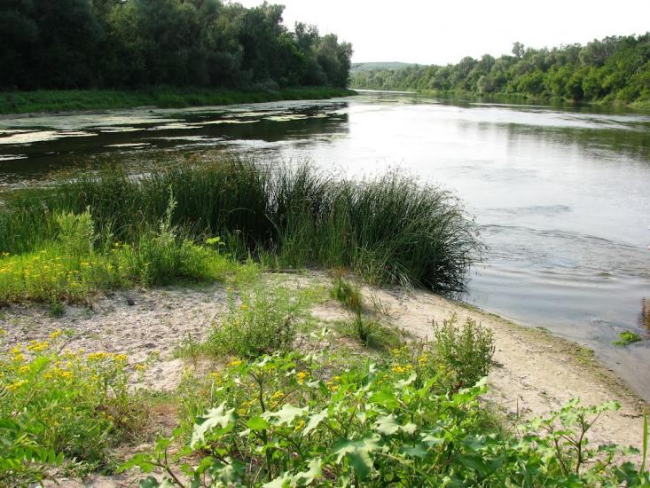 Піщане з panoramio.com - Pischane