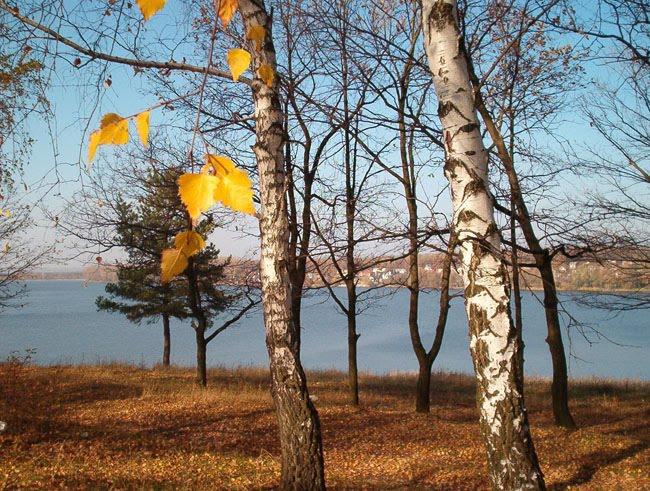 Черняки з panoramio.com - Черняки