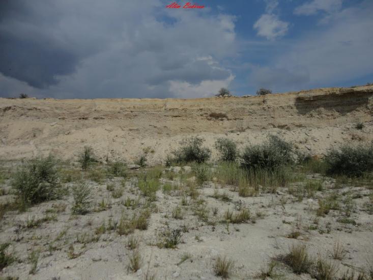 Жовтокам'янка з panoramio.com - Жовтокам'янка