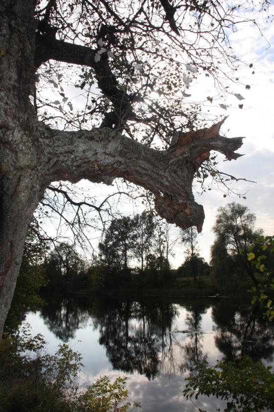 Курган з panoramio.com - Курган