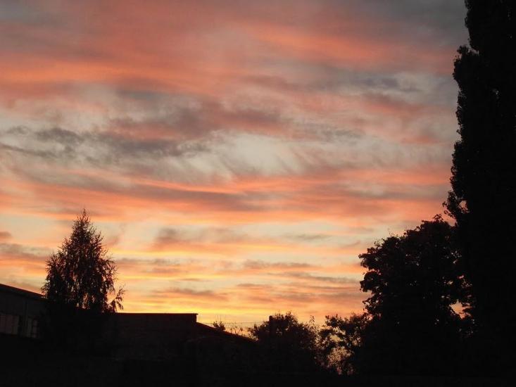 Вільна Тарасівка з panoramio.com - Вільна Тарасівка