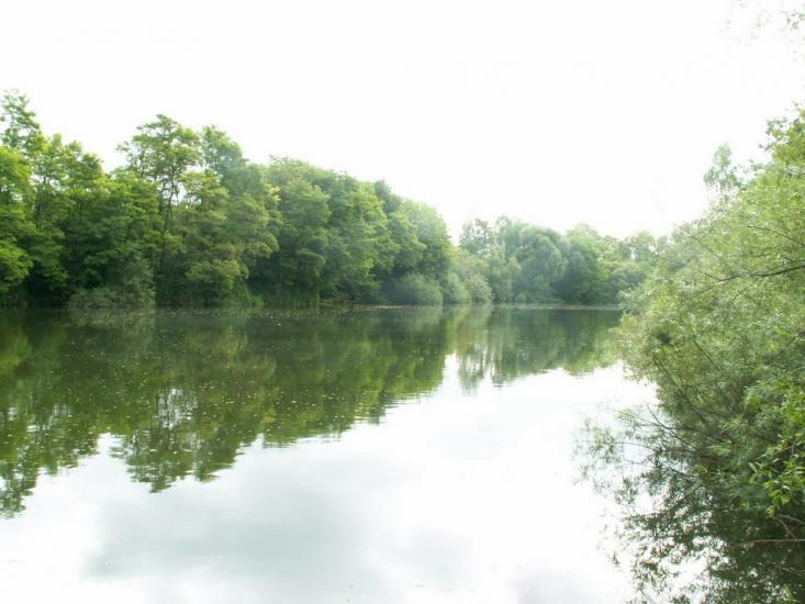 Овруч з panoramio.com - Овруч