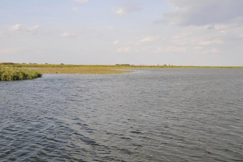 Кізомис з panoramio.com - Kizomys