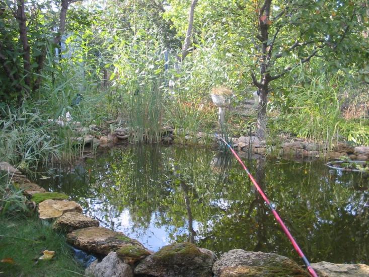Одрадове з panoramio.com - Отрадово