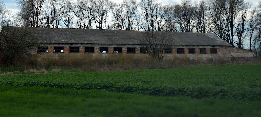 Кочубеївка з panoramio.com - Кочубеївка