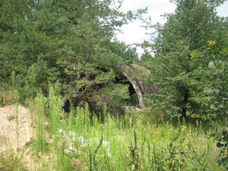 Лебедин з panoramio.com - Лебедин
