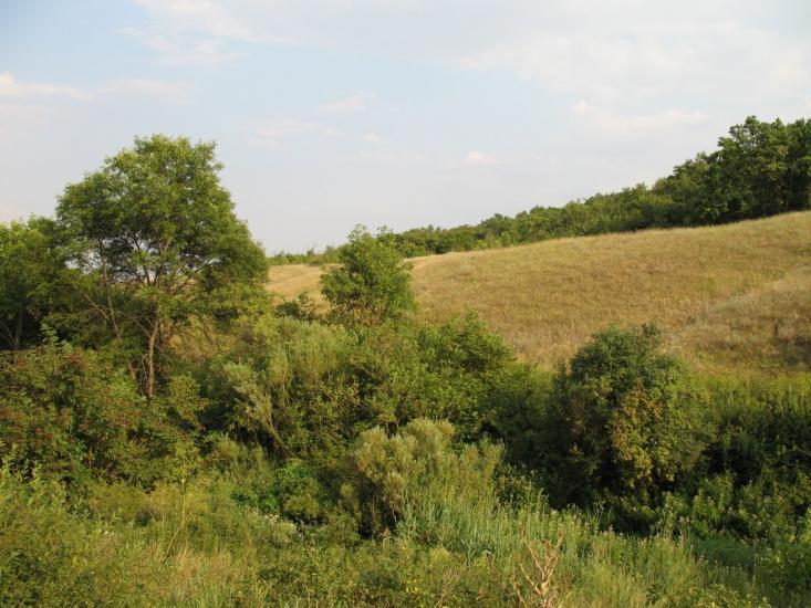 Старий Крим з panoramio.com