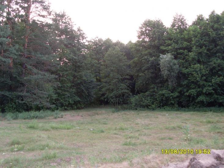 Березняки з panoramio.com - Березняки