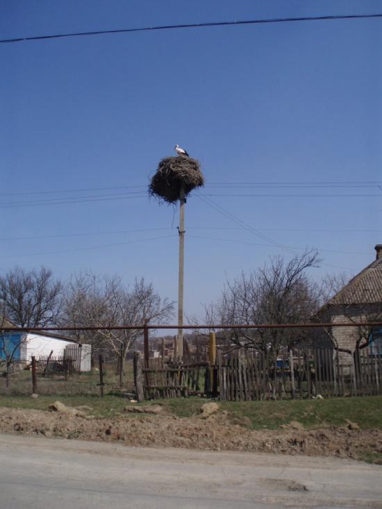 Софіївка з panoramio.com - Софіївка