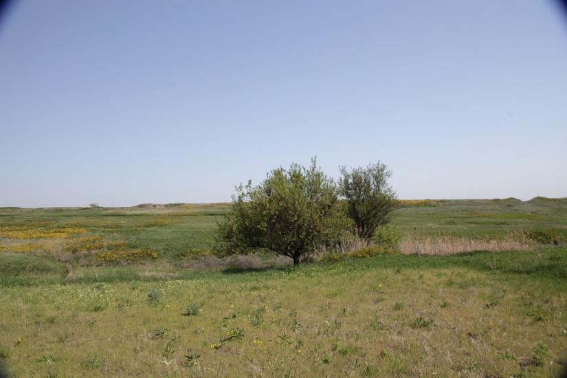 Горбачево-Михайлівка з panoramio.com - Gorbachevo-Mykhaylivka