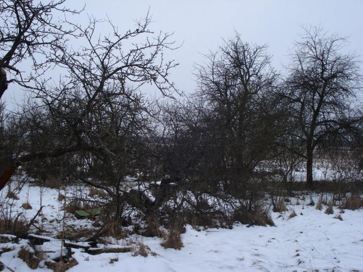 Ниговищі з panoramio.com - Ниговищі
