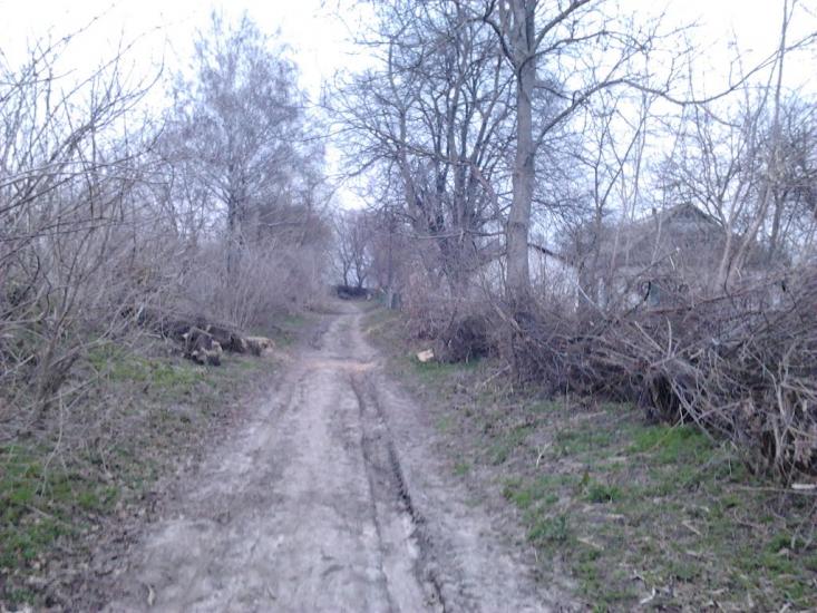 Рогачі з panoramio.com - Рогачі