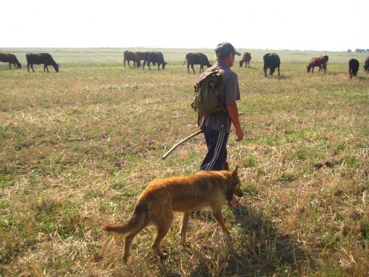 Приморське з panoramio.com - Приморское