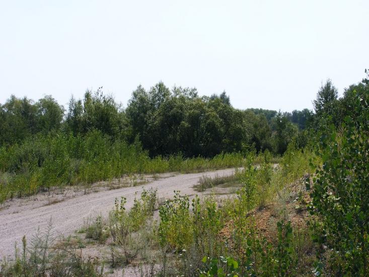 Швайківка з panoramio.com - Shvaykivka