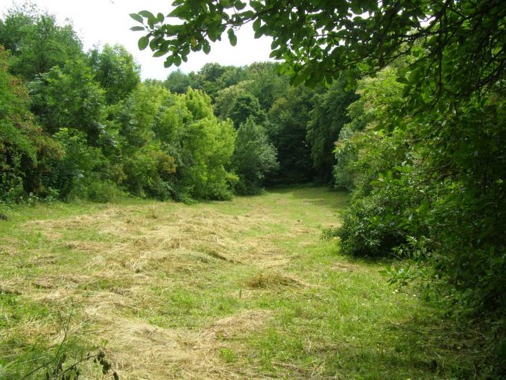 Петро-Марківка з panoramio.com - Петро-Марківка