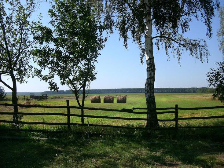 Марочкине з panoramio.com - Марочкине