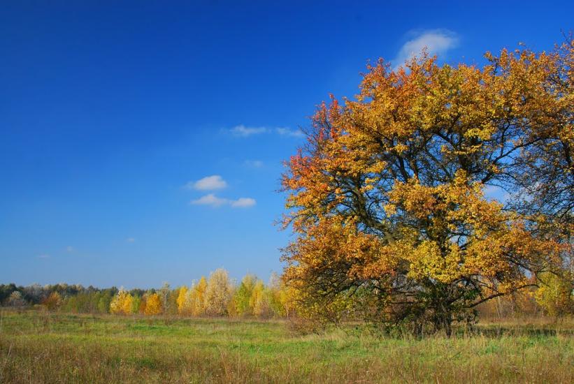 Вітрівка з panoramio.com - Vitrivka