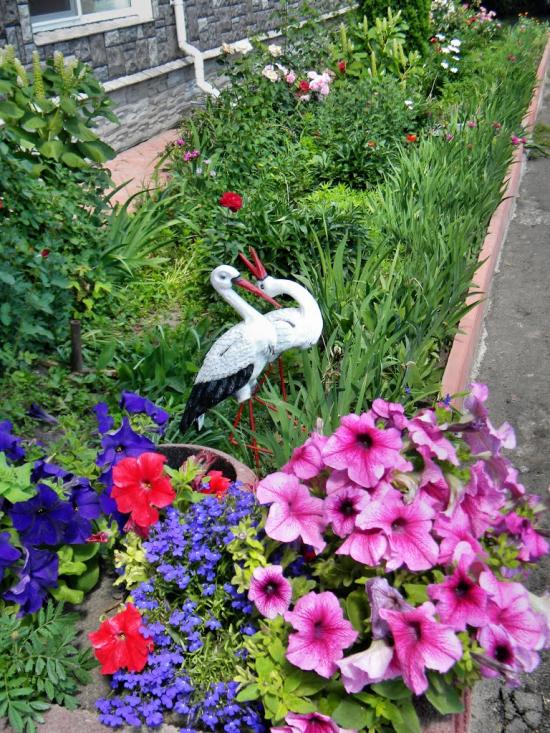 Липовець з panoramio.com - Липовец